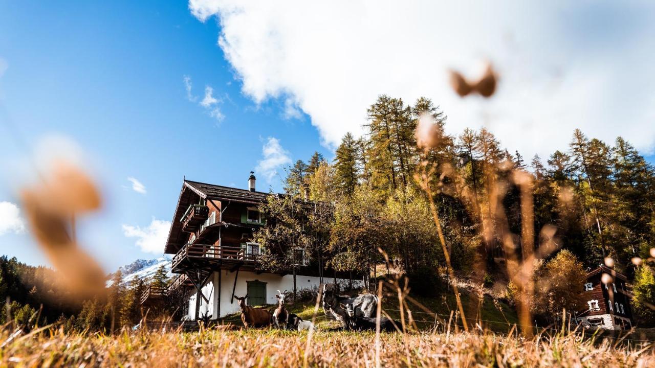 Hotel Hof Zuort Sent Exteriér fotografie